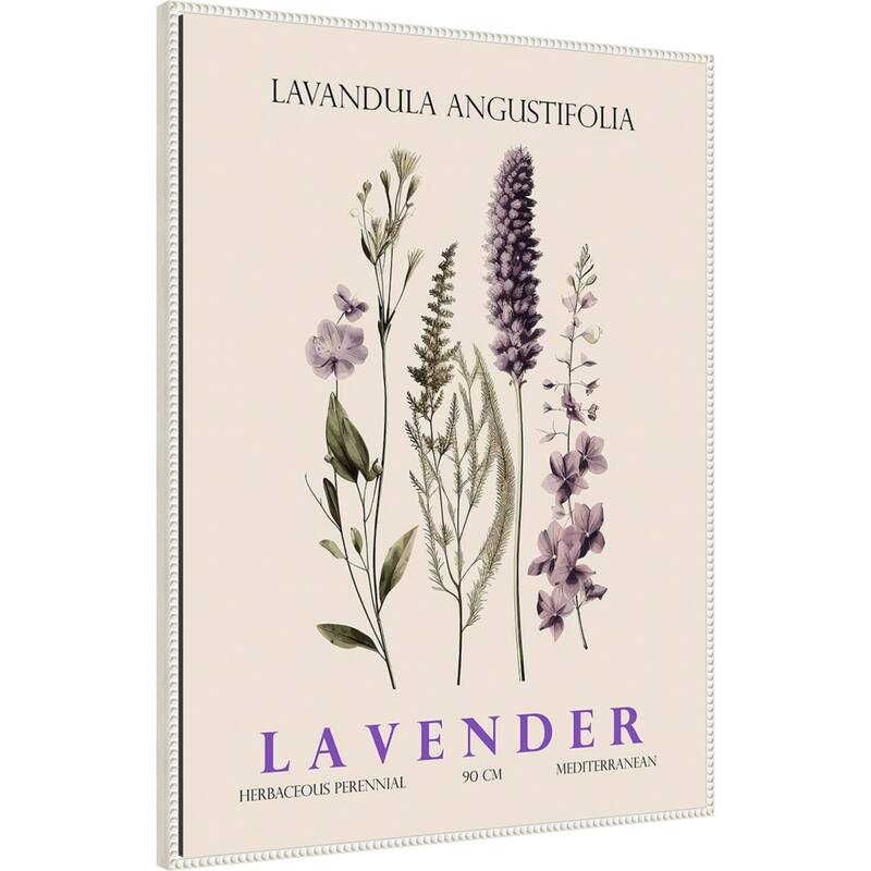 Vintage Botanical Lavender No. 2 Illustration by Christopher Giampietro Framed Canvas Wall Art Print