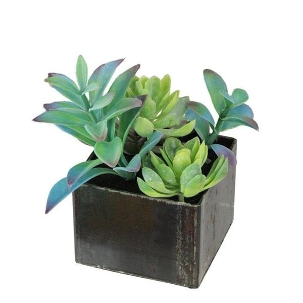 Northlight 32556428 7 in. Artificial Succulents Arrangement in Distressed Square Pot