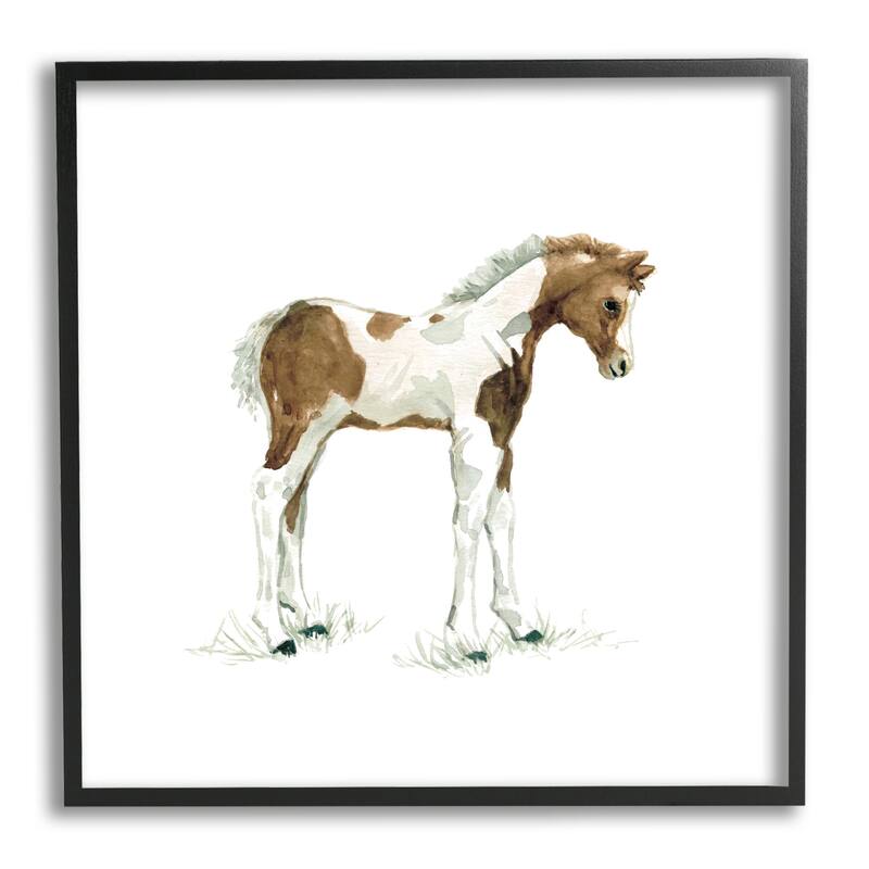 Stupell Young Farm Horse Minimal Country Animal over White Framed Wall Art - Brown - 24 x 24 - Black