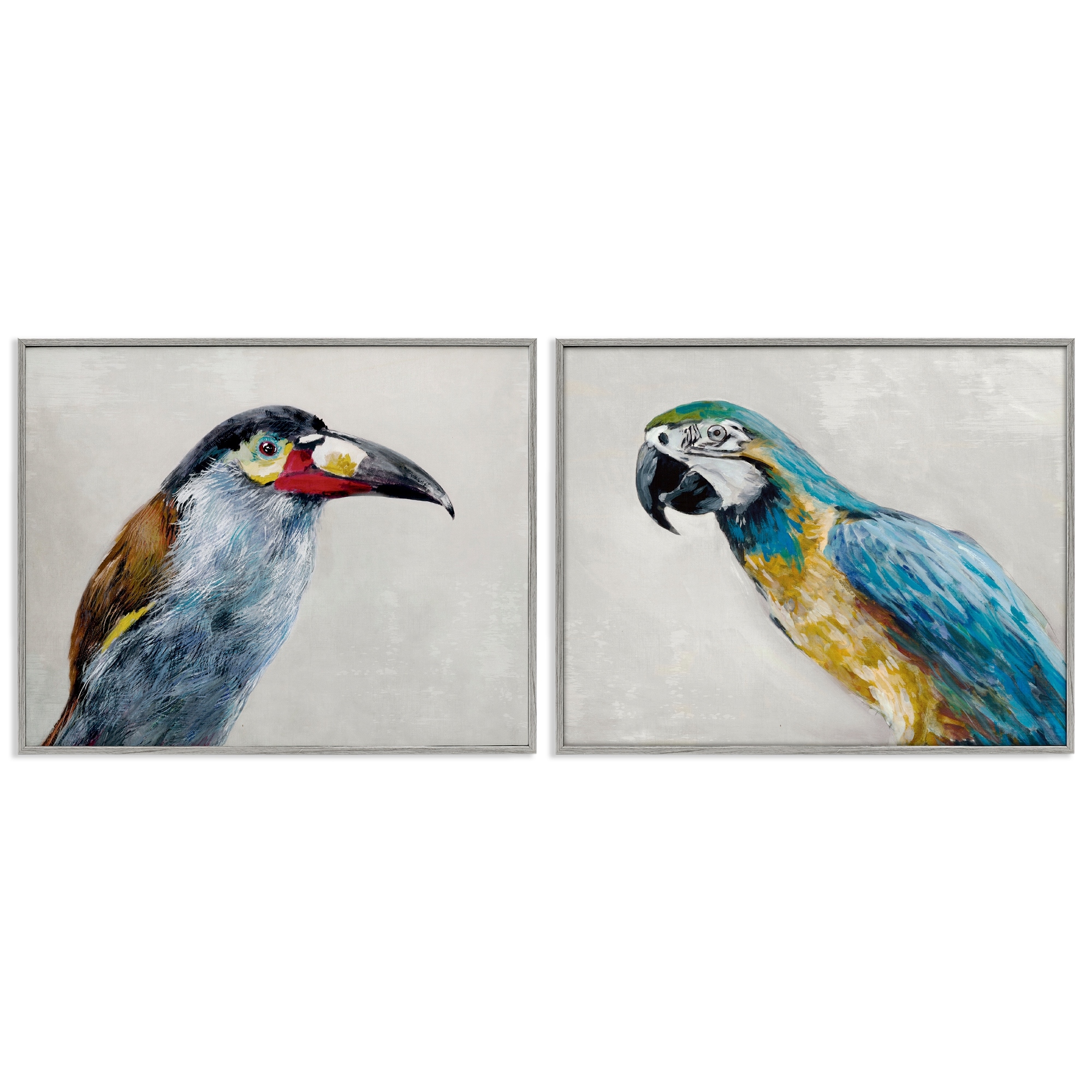 Stupell Toucan And Parrot Portrait Framed Giclee Art Design By