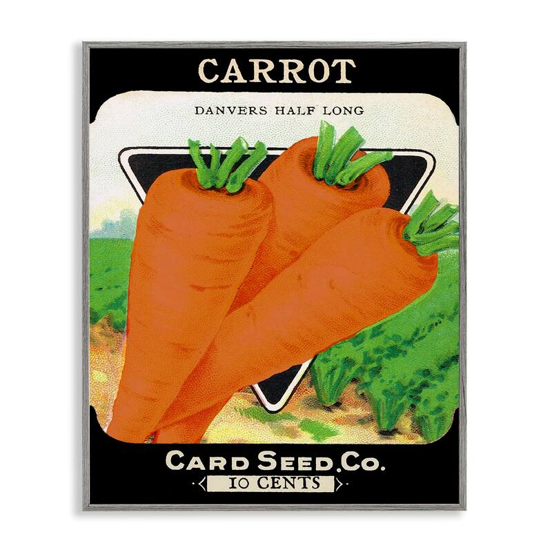Stupell Vintage Garden Carrots Framed Giclee Art Design By Lil' Rue - 11 x 14 - Grey