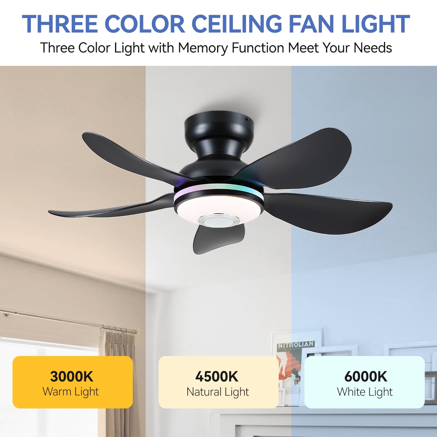 Kviflon 36/46 inches RGB Flush Mount Ceiling Fan with Light and