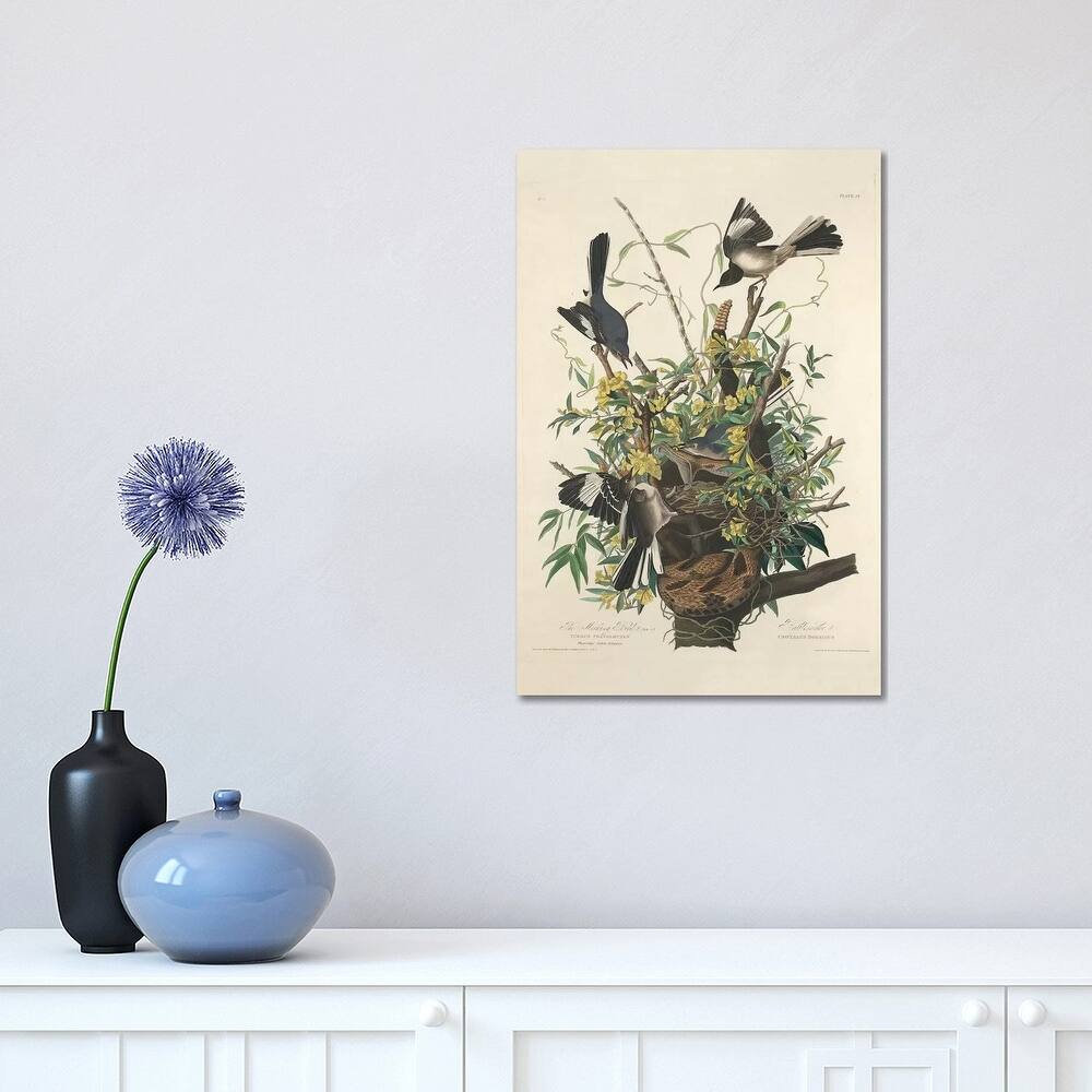 iCanvas "The Mocking Bird, 1827" by John James Audubon Canvas Print