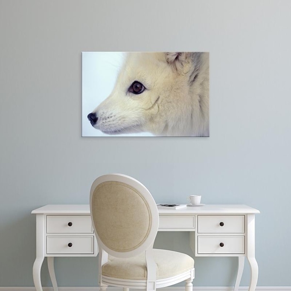 Easy Art Prints Steve Kazlowski's 'Arctic Fox' Premium Canvas Art