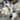 STP Goods Azur de Limoges Bone China Dinnerware Set of 20 for 4 pers.