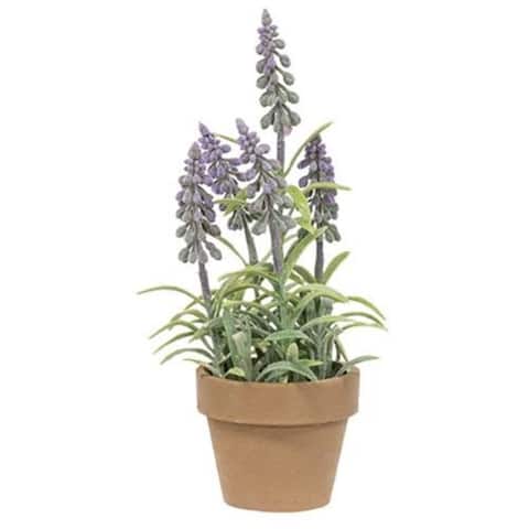 Potted Mountain Bells Purple - 9" high by 4" wide