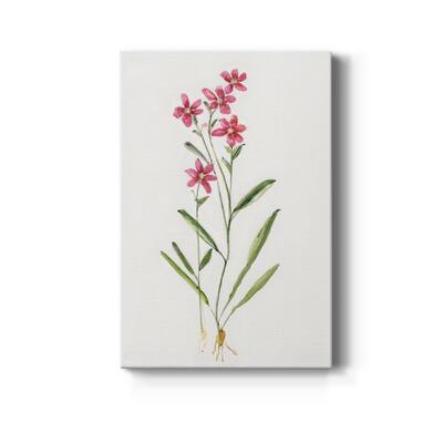 Delicate Pink II Premium Gallery Wrapped Canvas - Ready to Hang