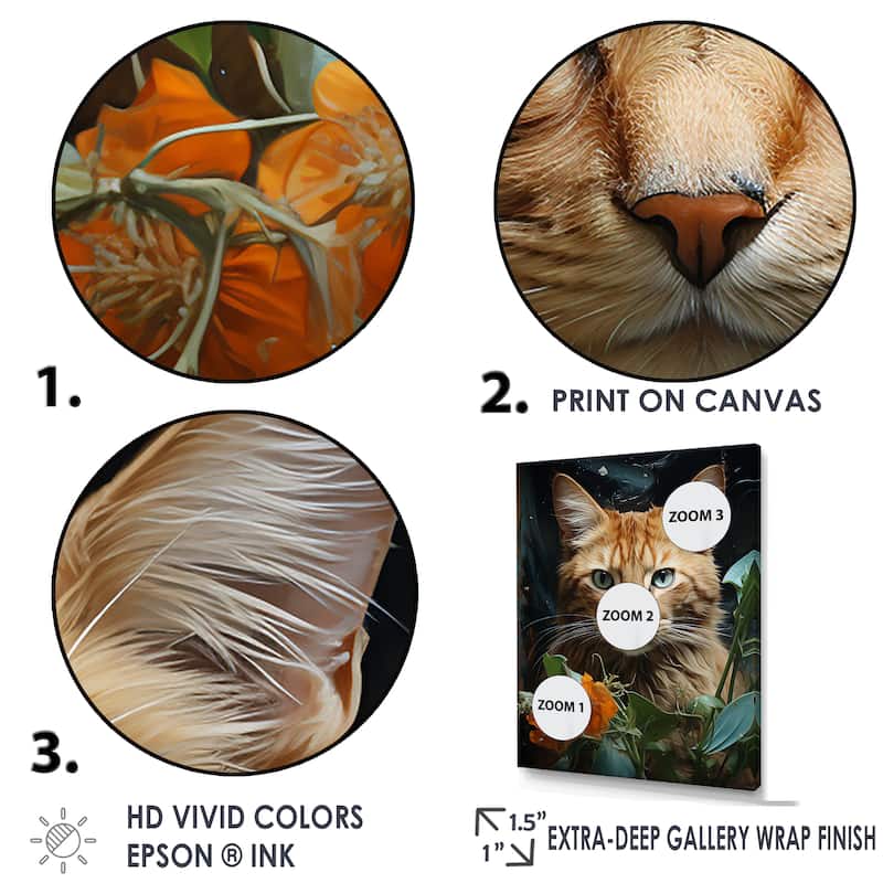 Designart "Havana Brown Mystique Cat" Animals Cat Framed Canvas Art Print