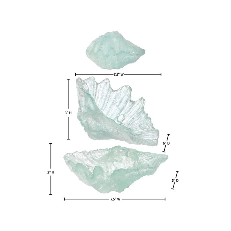 7.5" Clear Resin Open Shell Box of 2