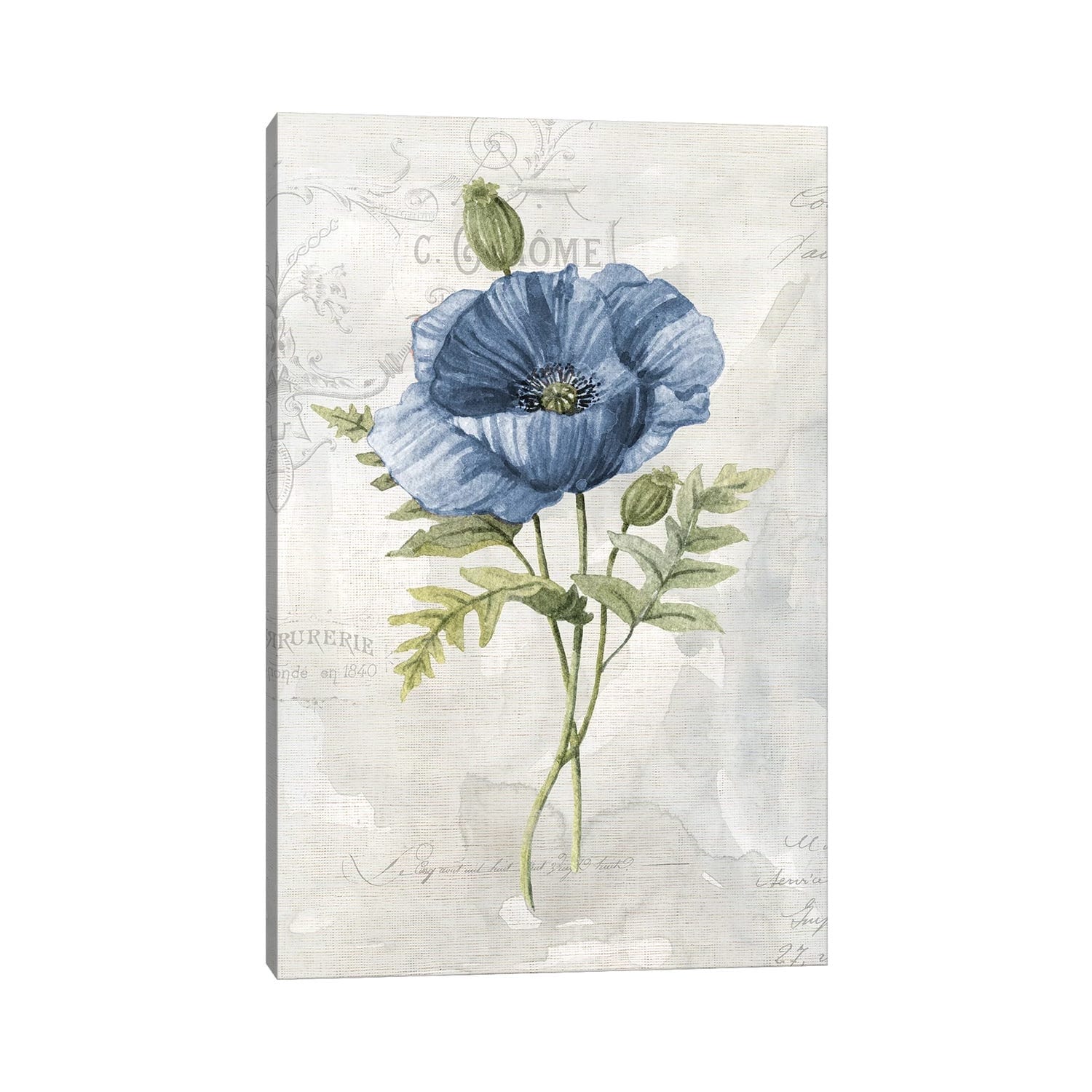 iCanvas Blue Linen Poppy by Carol Robinson Canvas Print - Bed Bath &  Beyond - 33374980