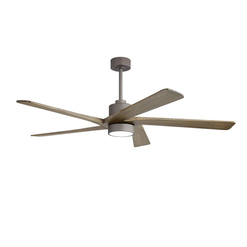 WINGBO 64 Inch DC Ceiling Fan with Lights and Remote Control, 5 Reversible Carved Wood Blades - N/A