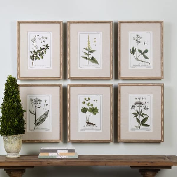 slide 2 of 3, Uttermost Green Floral Botanical Study Prints (Set of 6)