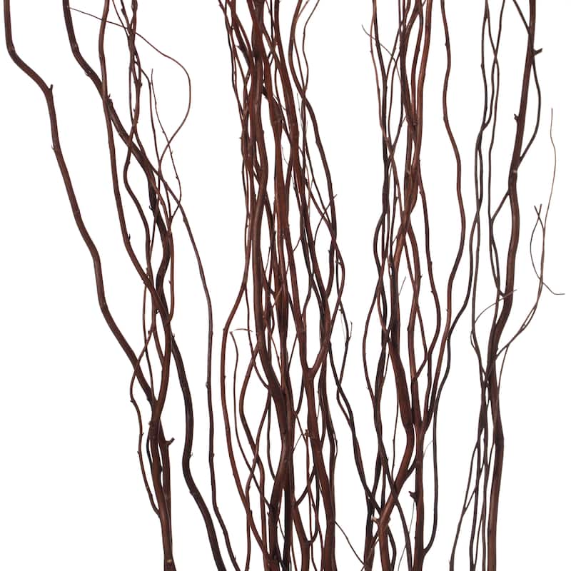 Brown Natural Decorative Dry Branches Authentic Willow Birch Sticks for Home Decoration and Wedding Craft