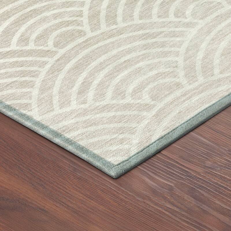 Machine Washable Indoor/ Outdoor Contemporary Poppy Chantille Rug