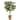 24" Lemon Artificial Tree - 6"