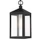 Option Black with Brushed Nickel Cluster
