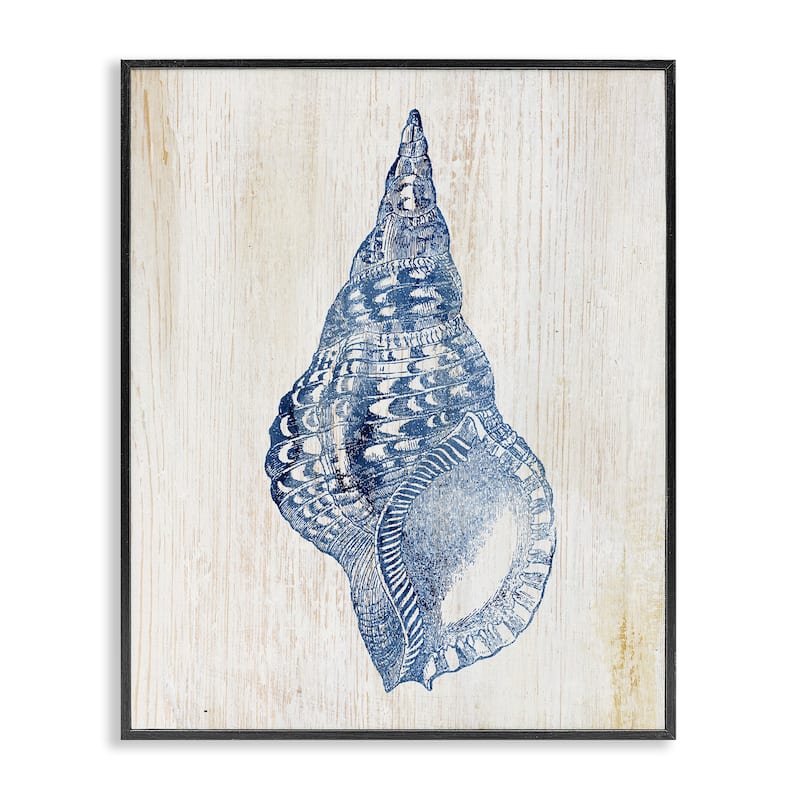 Stupell Tranquil Blue Shell Framed Giclee Art Design By Susan Arnot - 24 x 30 - Black