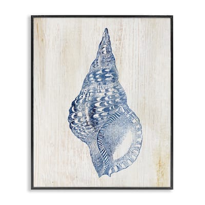 Stupell Tranquil Blue Shell Framed Giclee Art Design By Susan Arnot