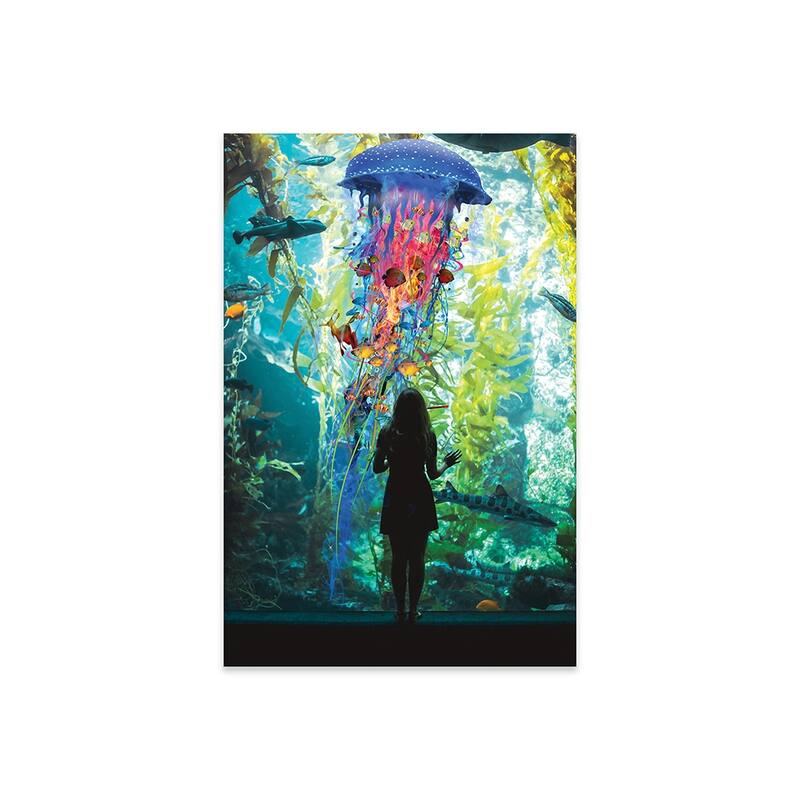 Electric Jellyfish World Is An Aquarium Print On Acrylic Glass by David Loblaw - 24x16x0.25