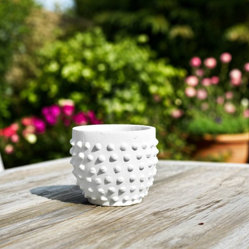 Terracotta Planter Raised Dot Texture for Home Garden Use - 6" White - 8" x 8" x 6"