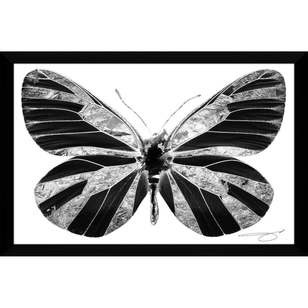 "Silver Butterfly" by Jodi Print on Acrylic