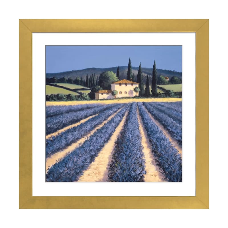 iCanvas "Colors Of Summer" by David Short - Gold - 16x16x1