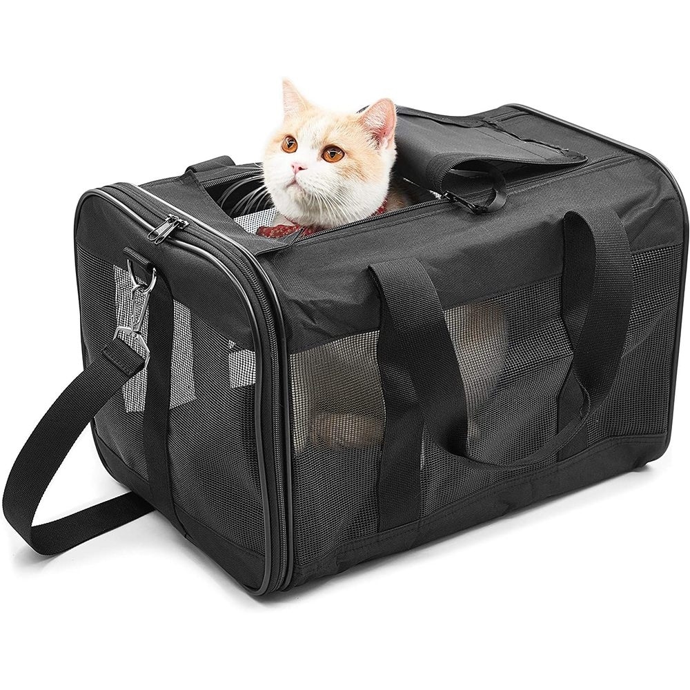 Pet Travel Carrier Soft Sided Portable Bag Collapsible Durable - Bed Bath &  Beyond - 37421519
