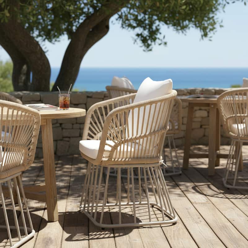 Christopher Knight Home - Outdoor Wicker Dining Chair with Steel Frame & Cushion (Set of 1/2/4/6)