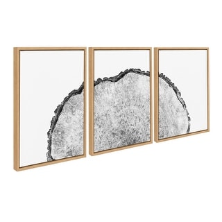 Quadro Su Tela Kate And Laurel Sylvie Lone Joshua Tree – 102x46 Cm, Stampa Desertica Incorniciata, Colore Naturale - 6