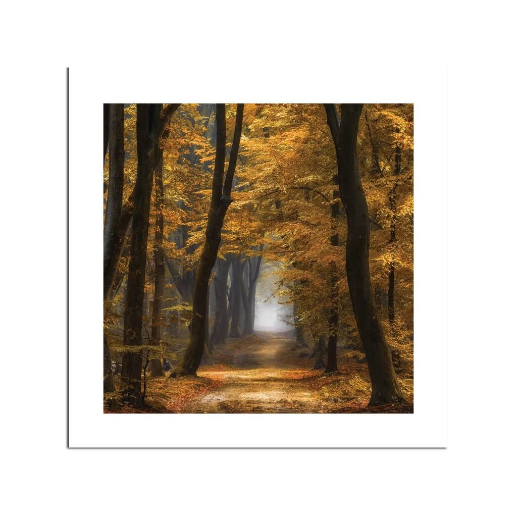 Speuldimensions Fine Art Paper Print by Lars van de Goor - Multi