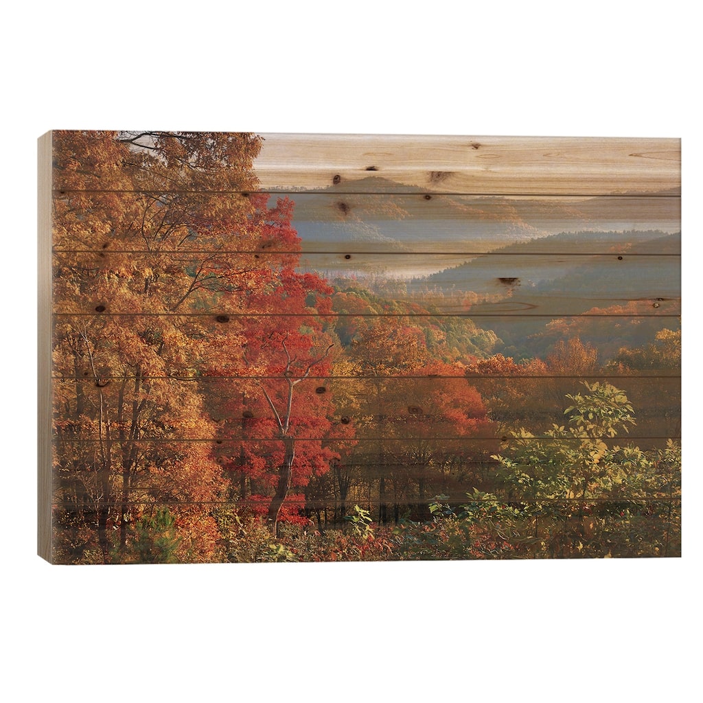 Autumn Foliage On Blue Ridge Range Near Jumping Off Rock, North Carolina Print On Wood by Tim Fitzharris - Multi-Color