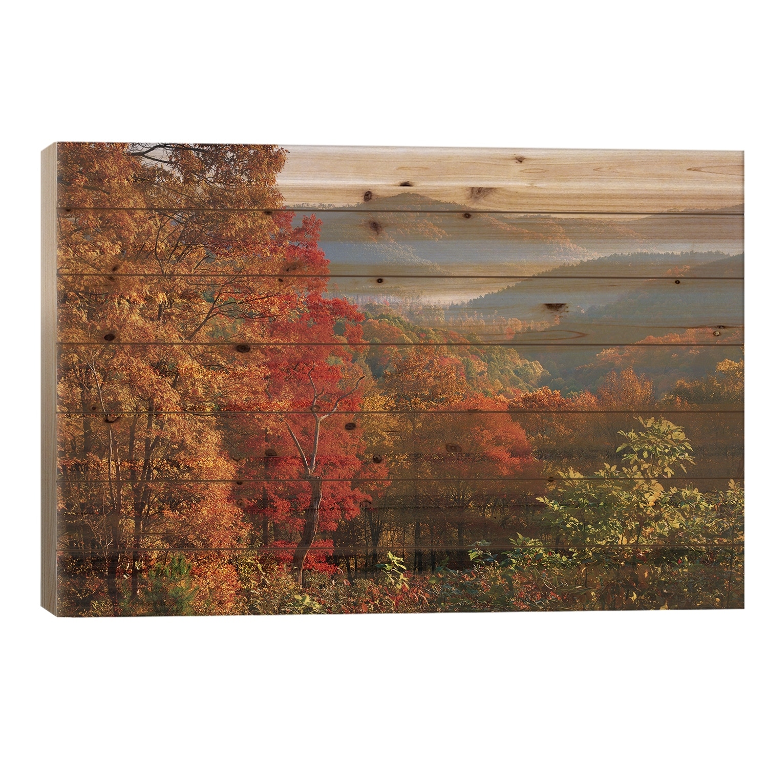 Autumn Foliage On Blue Ridge Range Near Jumping Off Rock, North Carolina Print On Wood by Tim Fitzharris - Multi-Color
