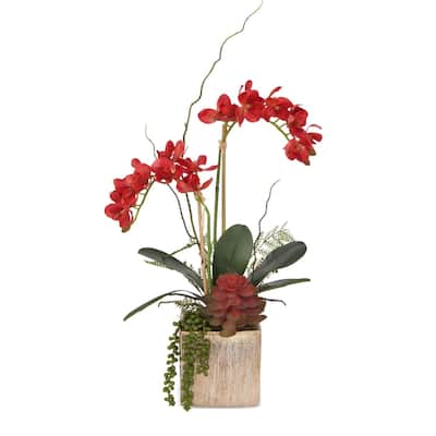 Red Orchids with Ferns, Succulents Flower in Gold Square pot - 13"Wx7"Dx15"H
