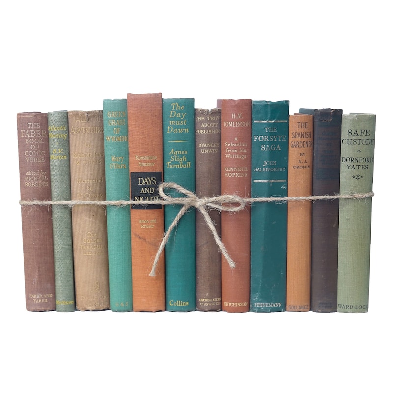 Books Brown Decorative Accessories: Vintage Cabin ColorPak