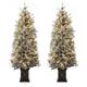 Option 5#2Pcs