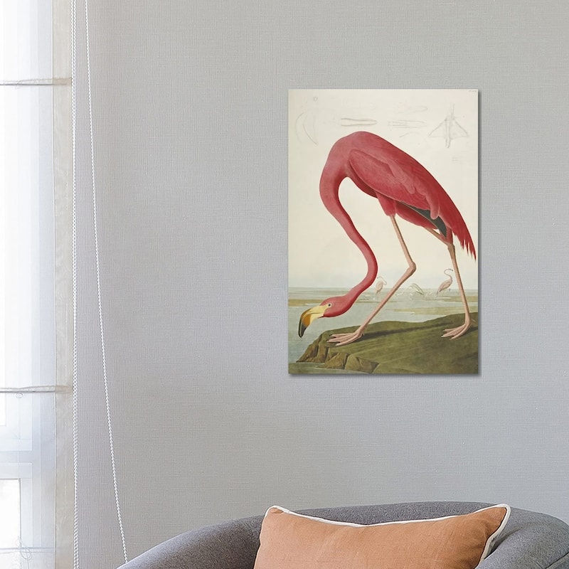 iCanvas 'American Flamingo' by John James Audubon Canvas Print - 26x18x1.5