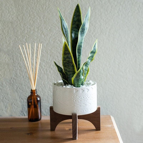 Mid-Century Modern Planter 5" Caveman Ceramic Planter on Wood Stand. Opens flyout.