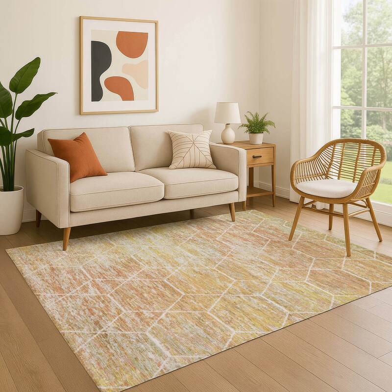 Premium Washable Super Soft Geo Abstract Mayfield Rug - Salmon - 2'6" x 3'10"