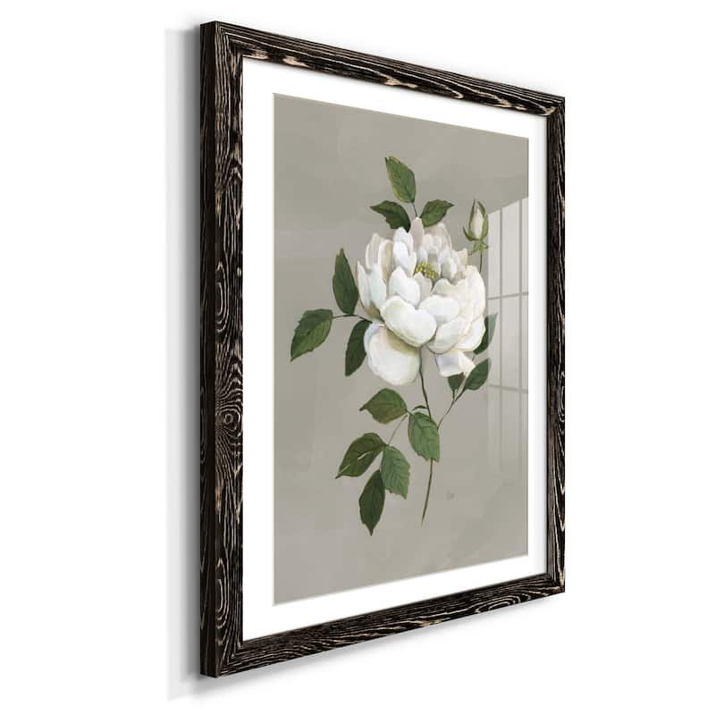 Botanical Rose-Premium Framed Print - Ready to Hang