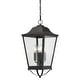 preview thumbnail 1 of 3, The Great Outdoors 73287 Savannah 4 Light 10" Wide Outdoor Pendant Sand Coal