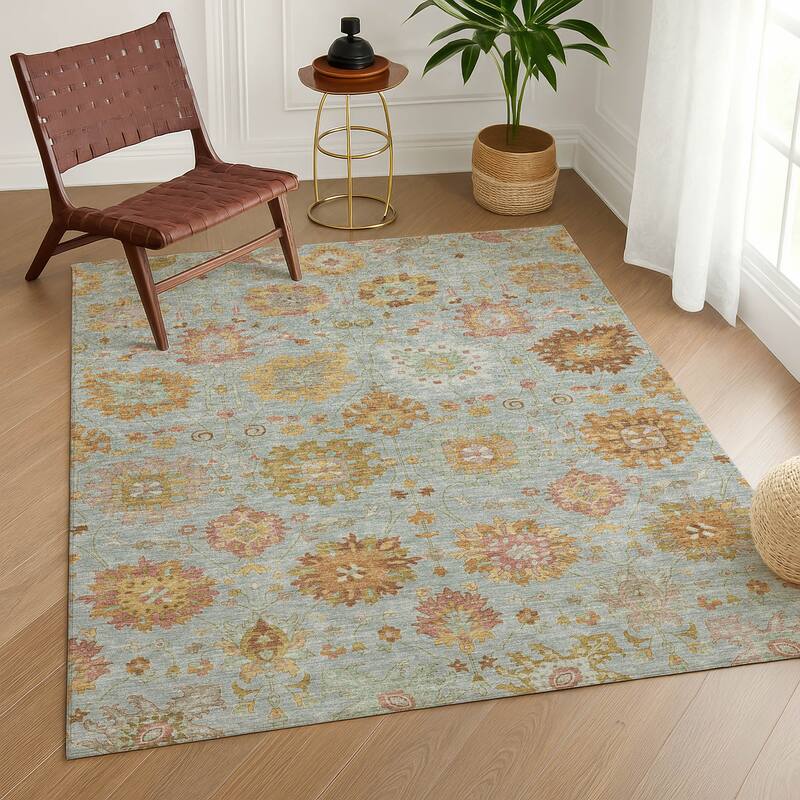 Machine Washable Indoor/ Outdoor Vintage Traditional Chantille Rug