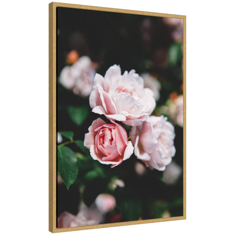 Kate and Laurel Sylvie Delicate Light Pink Rose Floral Framed Canvas by Patricia Hasz of Patricia Rae Photography - 23x33 - Yellow