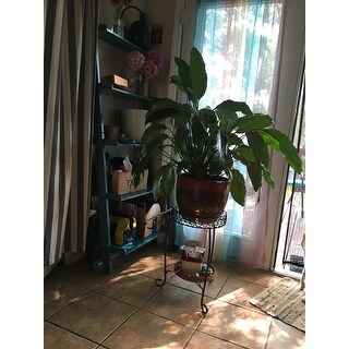 Porch & Den Jon Wooden Bookshelf Ladder