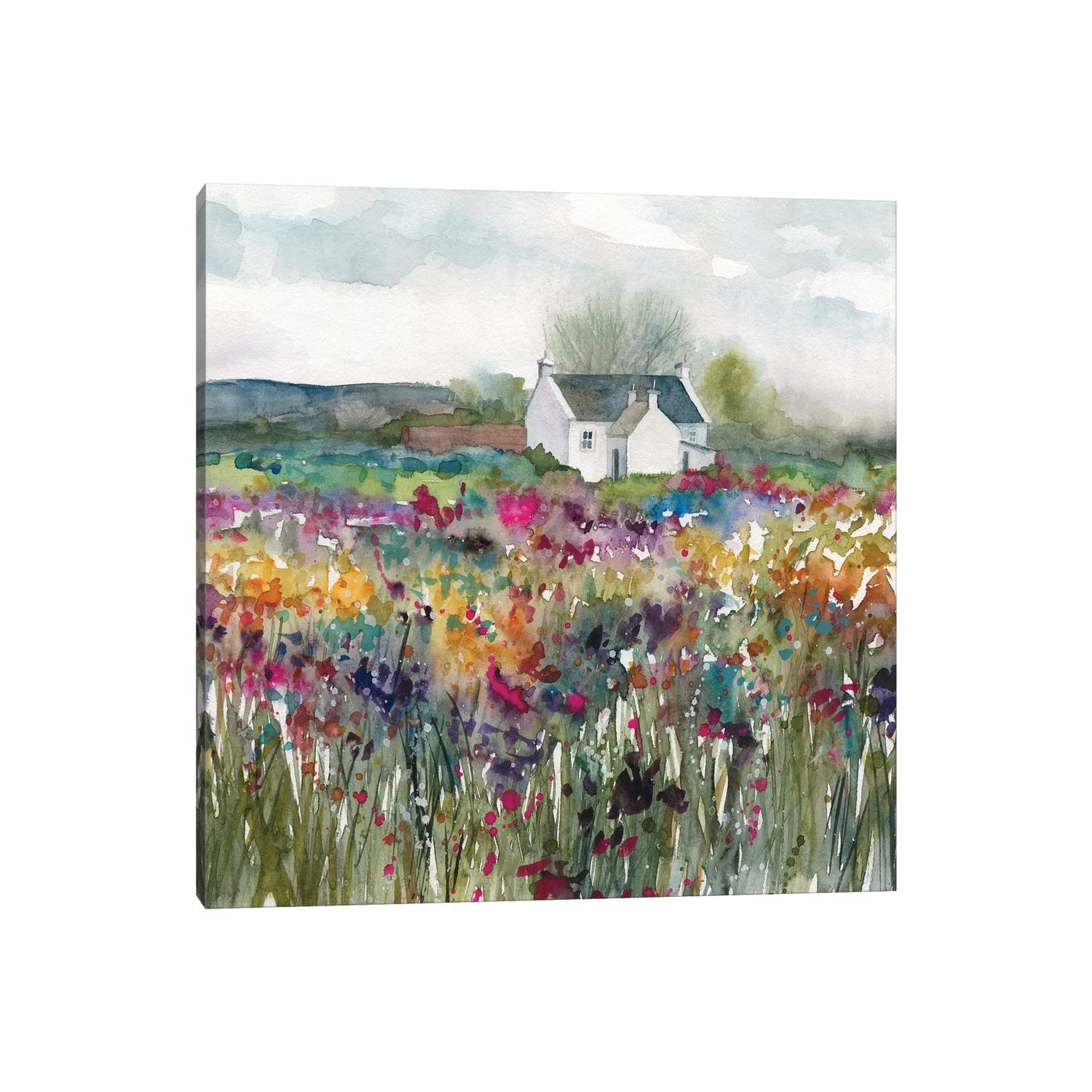 iCanvas "Wildflower Cottage" by Carol Robinson Canvas Print