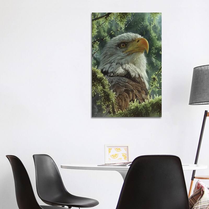 iCanvas "Bald Eagle - High And Mighty - Vertical" by Collin Bogle Canvas Print - 40x26x1.5