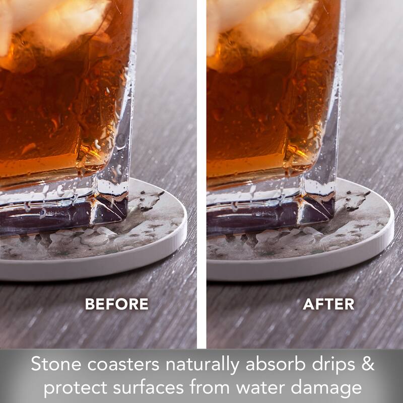 Forever Free 4 Pack Round Absorbent Stone Coasters with Protective Cork Backing Manufactured in The USA