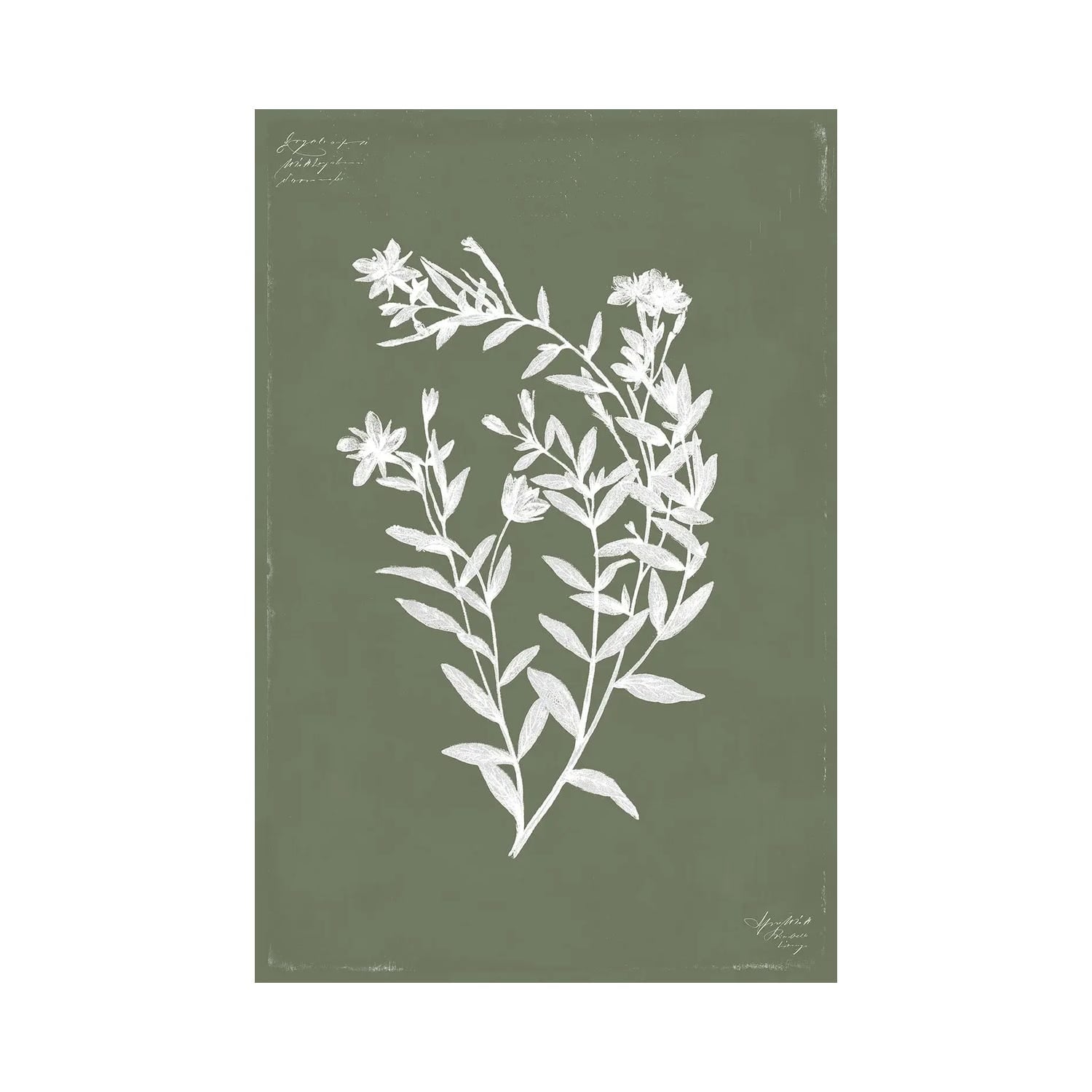 "Botanical Garden III" by PI Studio Canvas Print
