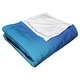 preview thumbnail 4 of 3, Warner Brothers Year without a Santa Claus Brotherly Quarrel Silk Touch Throw Blanket