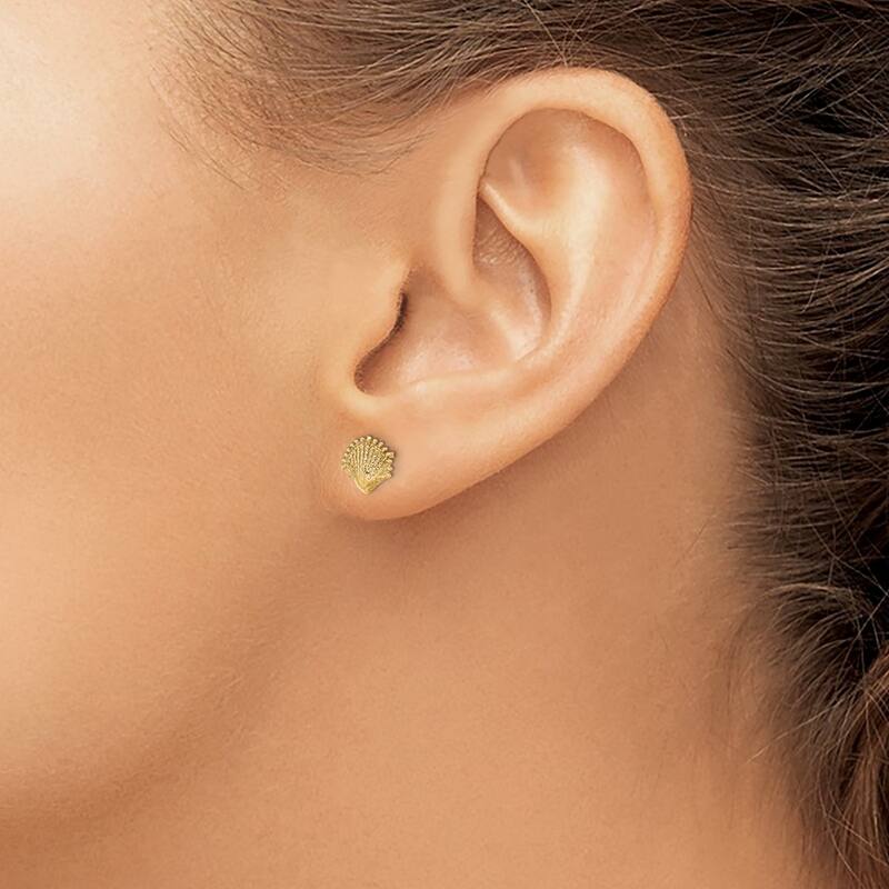 Curata 10k Yellow Gold 7.8x7.7mm Scallop Shell Post Earrings