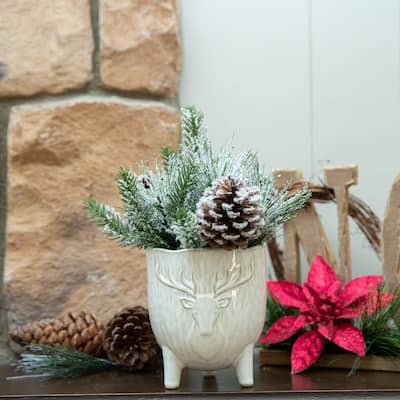 Xmas Mix in 4.5" Staghead Ceramic Footed Pot